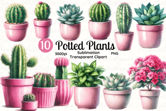 Download Potted Plant, Succulent &amp; Cactus Clipart - Potted plant Collection