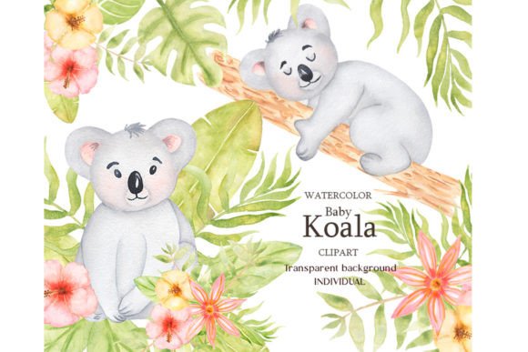 Download Watercolor Baby Koala Clipart Set - Baby Collection